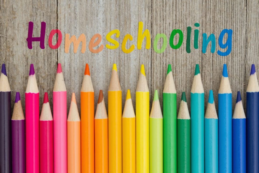 Why You Should Homeschool Young Children